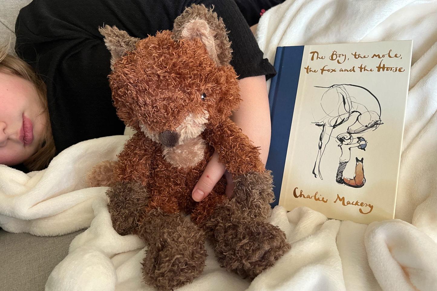 The Boy, the Mole, the Fox and the Horse Gift Set