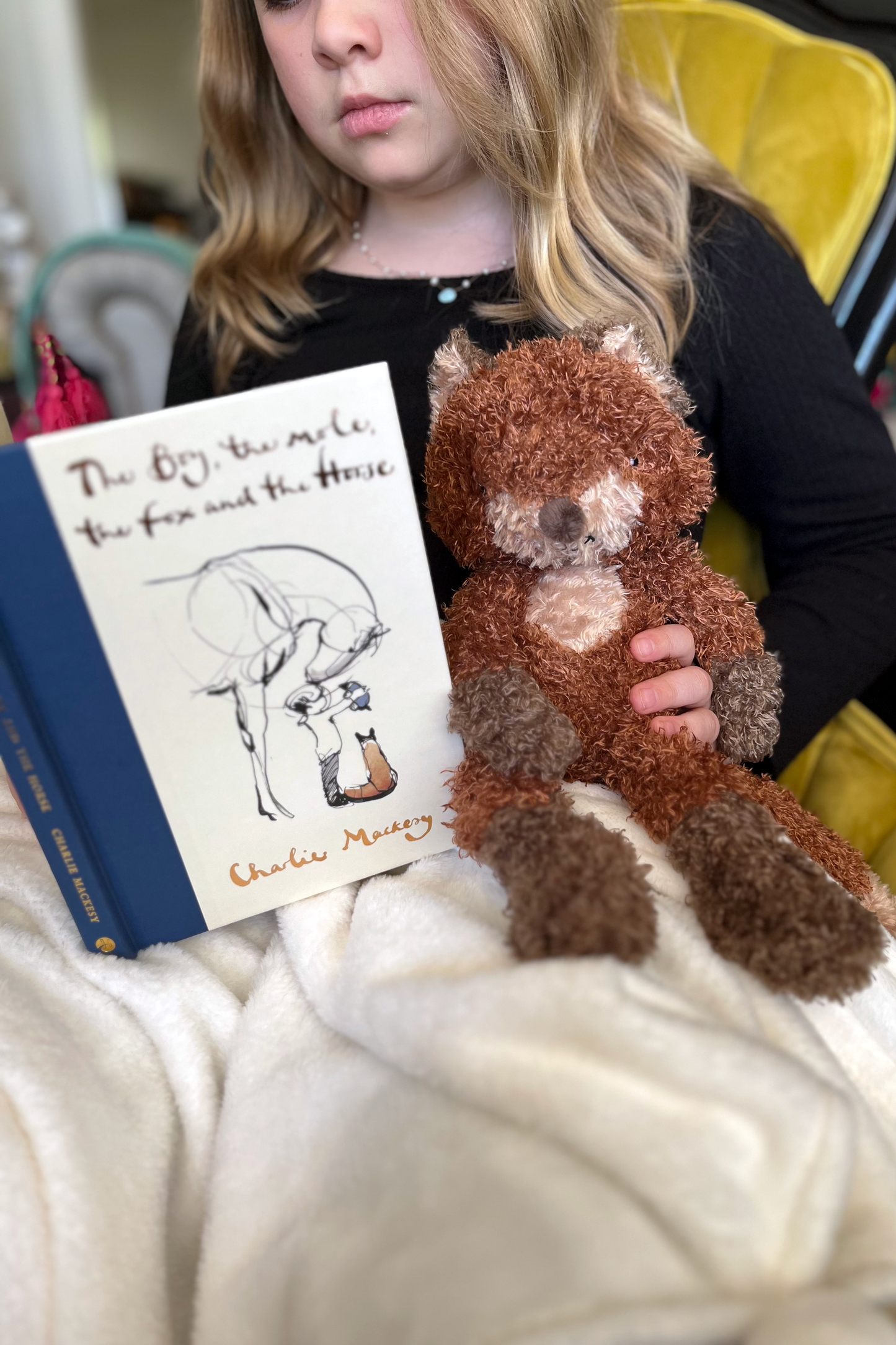 The Boy, the Mole, the Fox and the Horse Gift Set