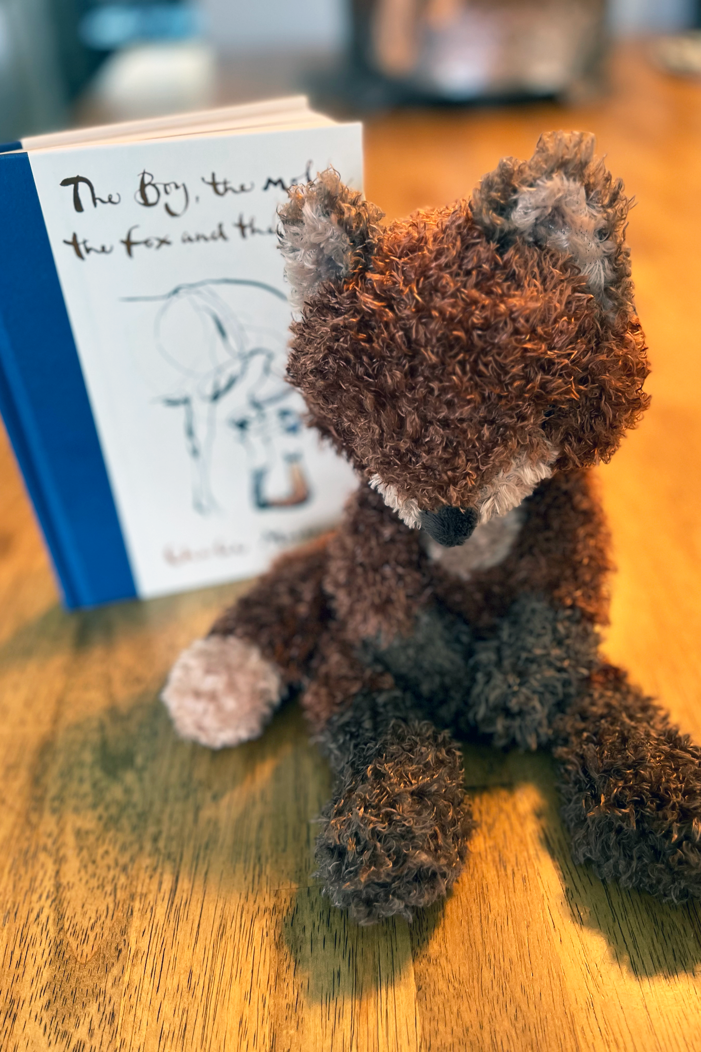 The Boy, the Mole, the Fox and the Horse Gift Set