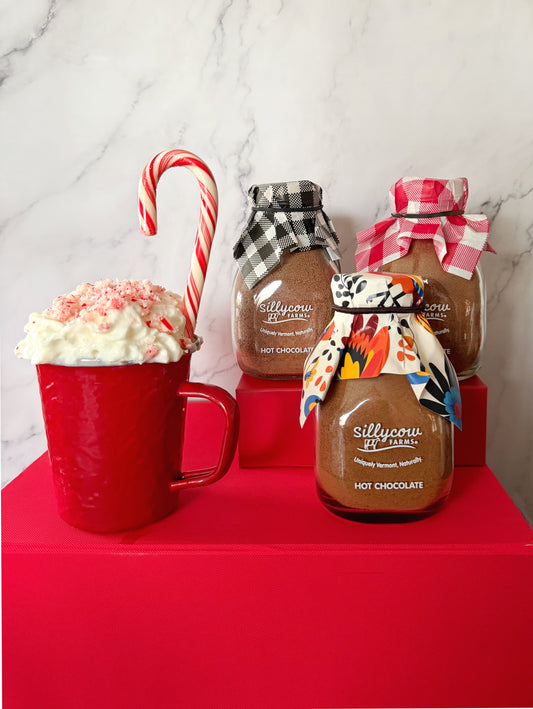 Our Favorite Hot Chocolate