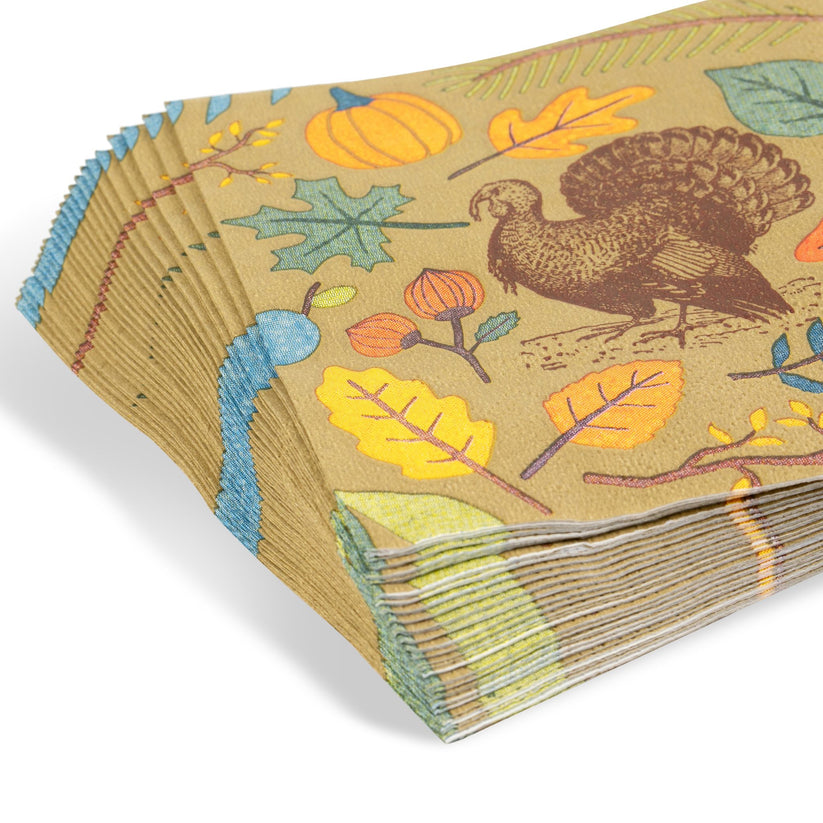 Holiday Paper Party Good Sets - Premium Heavyweight Disposable Party Plates & Napkins